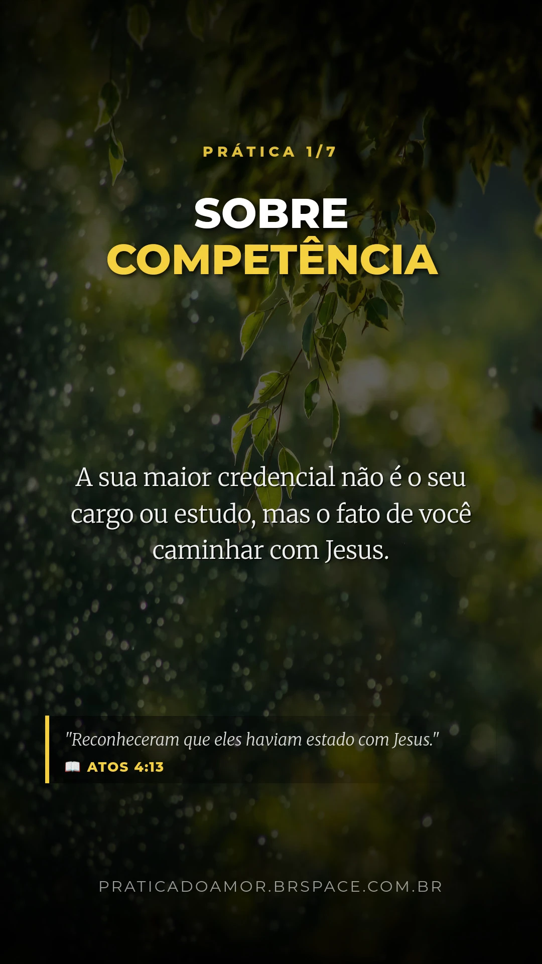 Pratica Do Amor Estudo Atos4 Slide 5