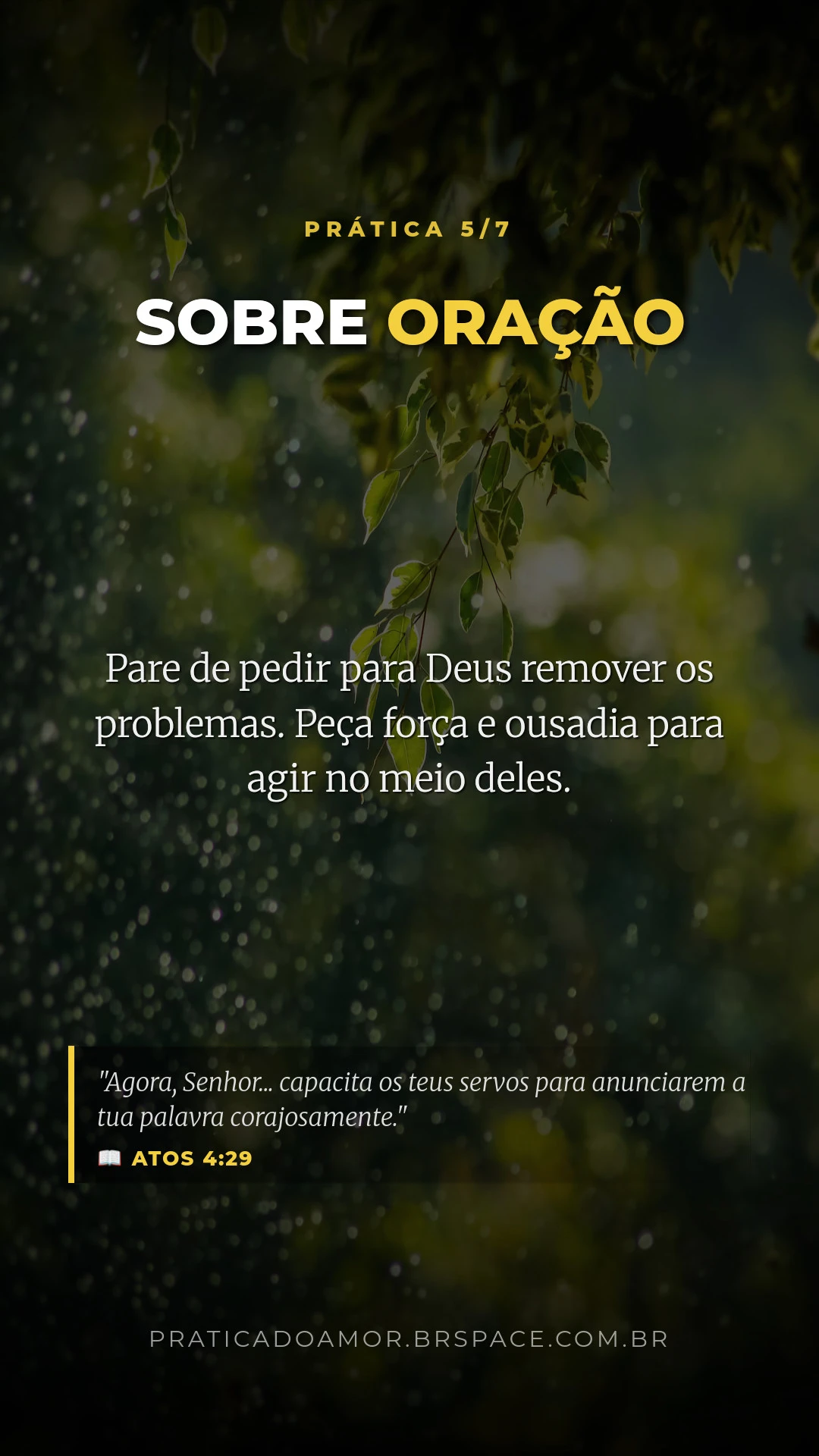 Pratica Do Amor Estudo Atos4 Slide 9